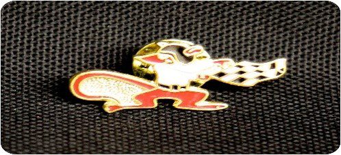 A picture of the Swampy hat pin in gold and red color