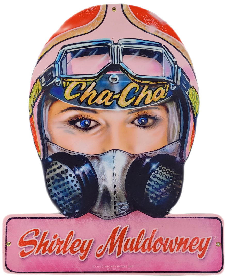 Shirley Muldowney Metal Sign poster