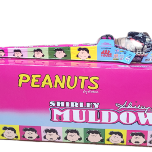 Shirley Muldowney Peanuts toy.